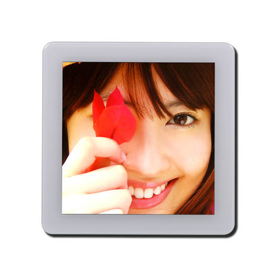 3.95 ইঞ্চি St7701S ইন্ডাস্ট্রিয়াল টাচ স্ক্রিন মডিউল 480 * 480 ISO9001